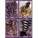 Classical Puppets Stripes and Checks-Punk Rose 2.0 Swarovski Edition Long OP, Short OP and Skirt Set(Limited Pre-Order/3 Colours/Full Payment Without Shipping)